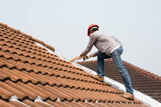 Best Tile Roofing Installation  in Paulden, AZ