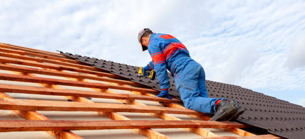 Best Roof Insulation Installation  in Paulden, AZ