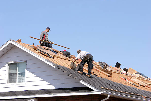 Best Commercial Roofing Services  in Paulden, AZ